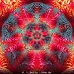 CosmicGloop